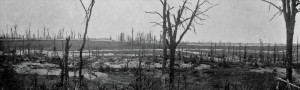 Thiepval Wood, Somme - Sep 1916