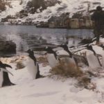 Falklands 1983 - A Ranger meets the locals in South Georgia